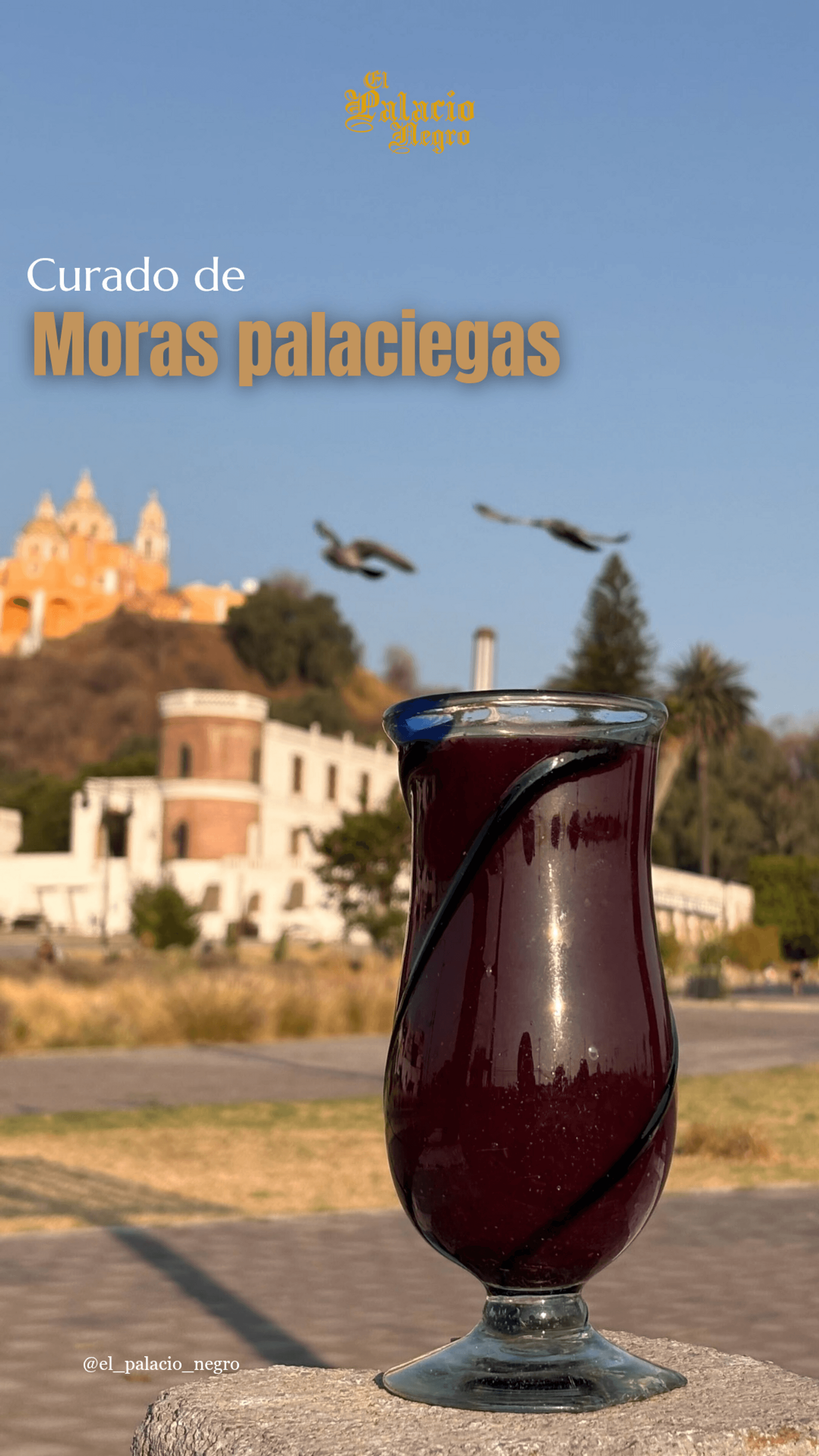 Corrected Curado Moras Recomendaciones