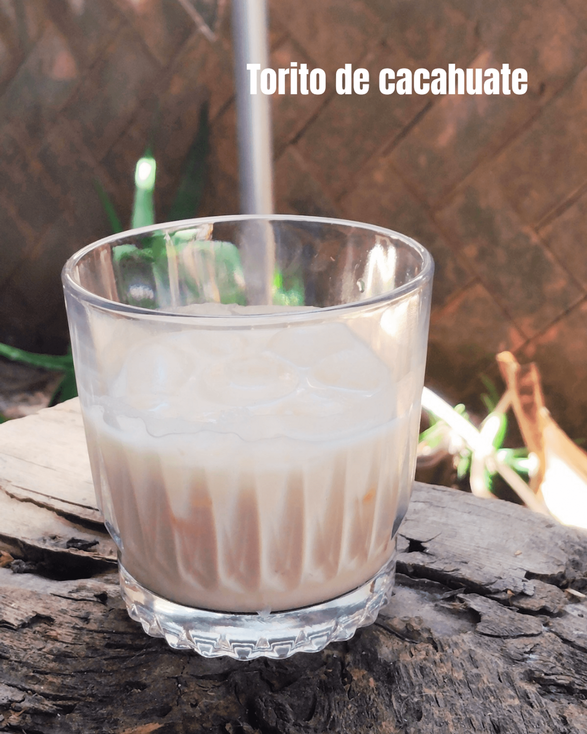 Corrected Torito Cacahuate